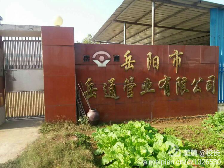 图片8.png