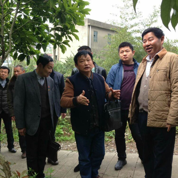 图片16.png