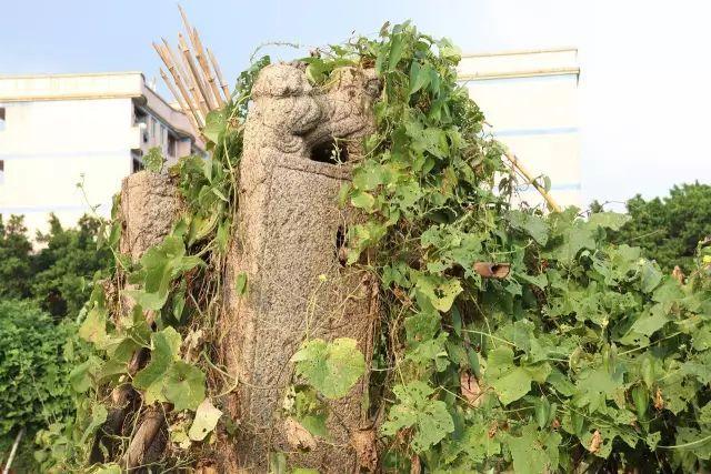 1554338378489763.jpeg cf4164885a244653b55d11371d886806.jpeg