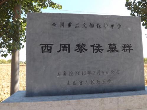 1556160959131772.jpg 2.jpg